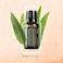Doterra Eucalyptus Eucalyptus Radiata Essential Oil 15ml