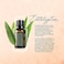 Doterra Eucalyptus Eucalyptus Radiata Essential Oil 15ml