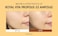 Honey Nourishing Essence?Royal Vita Propolis 33 Ampoule?Korean Skin Care Contains Royal Jelly Extract, Panthenol?Effective Vitamin Serum Strengthen The Skin Moisturizing, Soothing?