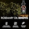 Follicle Booster Organic Rosemary Hair Growth Oil, Premium Composition With Natural Hair Oils For Women And Men, Invigorating Scent, Free Of Dye, Bpa, Sulfate, Alcohol, Fragrance - 2 Ounce