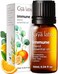 Gya Labs Immune Essential Oil Blend - Thieves Oil Essential Oil For Cleansing &amp; Invigorating - Essential Oil For Diffuser &amp; Wellness (0.34 Fl Oz)