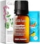Egyptian Geranium Essential Oil - 100% Pure Aromatherapy Therapeutic Grade Geranium Essential Oils For Skin, Hair Growth, Body Massage &amp; Diffuser, 0.34 Fl Oz (Pack Of 1)