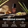 Lemongrass Essential Oil For Diffuser - Lemongrass Oil For Hair - Lemon Grass Essentials Oil Pure For Skin - Essential Oils Lemongrass Is Herbaceous, Earthy &amp; Zesty Scent (10ml)