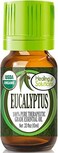 Oils - 0.33 Oz Eucalyptus Essential Oil Organic, Pure, Undiluted Eucalyptus Oil For Hair Diffuser Skin - 10ml