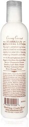 Island Soap &amp; Candle Works And Botanical Coconut Scented Body Lotion For Men And Women - Paraben Free Body Moisturizer - Hydrating Hawaiian Skincare - Creamy Coconut - 8.5 Fl Oz. Bottle