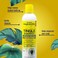 Jamaican Mango &amp; Lime Tingle Shampoo 237ml - Gently Cleanse And Nourish Natural Hair. Formula Contains Tea Tree Extracts That Stimulate The Scalp, Relieve Itching And Remove Product Build-Up