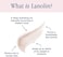 Lanolips 101 Ointment Multi-Balm, Coconutter - Fruity Lip Balm With Vitamin E Oil And Lanolin For Lip Hydration - Naturally Flavored Lanolin Lip Balm For Very Dry Lips - Dermatologist Tested (.35 Oz)