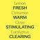 Plant Therapy Germ Fighter Synergy Pre-Diluted Essential Oil Roll-On 10ml (1/3 Fl Oz). Ready To Use