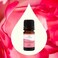 Plant Therapy Rose Absolute Essential Oil, 100% Pure, Undiluted, Natural Aromatherapy.