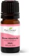 Plant Therapy Rose Absolute Essential Oil, 100% Pure, Undiluted, Natural Aromatherapy.