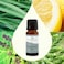 Plant Therapy Synergy Essential Oil - Deodorizing For Unisex - 0.33 Oz Essential Oil