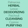 Plant Therapy Synergy Essential Oil - Deodorizing For Unisex - 0.33 Oz Essential Oil