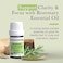 Pranarom, Essential Oil, Rosemary Ct 1, 8 Cineole.17 Fl Oz (5ml)