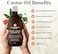 Organic Castor Oil &ndash; 100% Pure Extra Virgin, Cold-Pressed &amp; Unrefined &ndash; Hexane-Free &ndash; Nourishing Oil For Healthy Skin, Hair Growth &amp; Eyelashes (250ml)