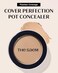 [The Saem] Color Perfection Pot Concealer 4G # Rich Beige - Instantly Adhering High Adhesive &amp; Coverage, Tight And Matte Fitting Long Lasting Balm Concealer