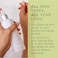 Zents Luminous Cashmere Body Oil (Oolong Fragrance), Soften And Moisturize Skin With Vitamin E And Organic Coconut Oil, 8 Fl Oz