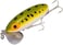 Arbogast Triple Threat Fishing Lure 3-Pack - Includes Jitterbug Lures And Hula Popper Lures