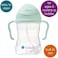 B.Box Sippy Cup With Fliptop Straw, Drink From Any Angle, Weighted Straw, Spill Proof, Leak Proof &amp; Easy Grip, Bpa Free, Dishwasher Safe, For Babies 6M+ To Toddlers (Pistachio, 8 Oz)