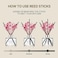 Cocodor Preserved Real Flower Reed Diffuser / Garden Lavender / 6.7Oz(200ml) / 1 Pack / Reed Diffuser Set, Oil Diffuser &amp; Reed Diffuser Sticks, Home Decor &amp; Office