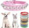 Spiked Studded Rivet Leather Dog Collar For Cats Puppy Small Medium Pets(Pink, Xs)
