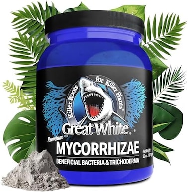 الميكوريزا البيضاء العظيمة، 1 كوارت