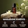 زيت زهر البرتقال العطري من Gya Labs لموزع الروائح العطرية - عطر نقي وطبيعي 100% للبشرة - درجة علاجية غير مخففة للعلاج العطري وصناعة الصابون والشموع (10 مل)