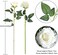 12Pcs Artificial Silk Flowers Realistic Roses Bouquet Long Stem For Home Wedding Decoration Party (White -2)
