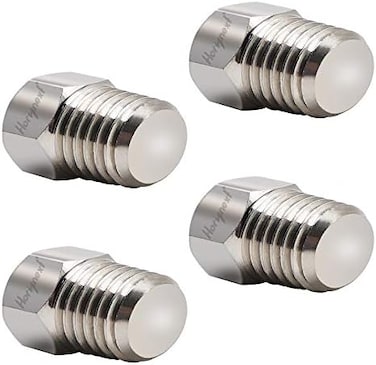 الفولاذ المقاوم للصدأ عرافة التوصيل Npt ذكر 1/8 "7551646 4