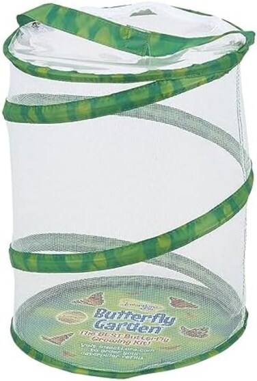 موئل حديقة الفراشات لعلم الحشرات