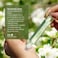 Juara - Tiare Jasmine Perfume Oil, Roll-On, Floral Fragrance For Women, Natural Ingredients, Long Lasting Luxury, Alcohol-Free, Paraben &amp; Sulfate Free, 0.34 Oz (10ml)