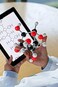 Chemistry Molecular Model Kit (239 Pieces), Student Or Teacher Set For Organic And Inorganic Chemistry Learning, Motivate Enthusiasm For Learning And Raising Space Imagination