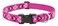 Lupine Puppy Love Patterned Adjustable Dog Collar For Small Dogs, 1/2-Inch/ 8-12-Inch