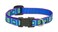 Lupine Puppy Love Patterned Adjustable Dog Collar For Small Dogs, 1/2-Inch/ 8-12-Inch