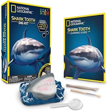 National Geographic 80473 Shark Teeth Dig Kit