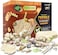 15 Mystery Fossils + Bonus Glow-In-The-Dark - Excavation Adventure Kit - Science Stem Learning Kids Activity