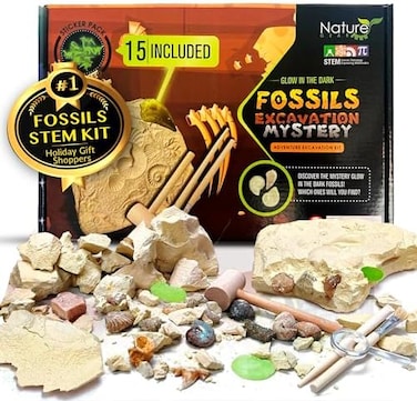 15 Mystery Fossils + Bonus Glow-In-The-Dark - Excavation Adventure Kit - Science Stem Learning Kids Activity