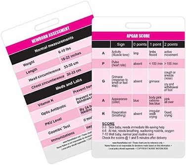 Apgar Score Reference And Newborn Sment Vertical Badge Card - Excellent Resource For Nurses, Nursing Clinicals, And Rn Students - Great Nursing School Supplies And Accessories