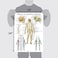 2 Pack: Spinal And Cranial Nerves + Disorders Of The Spine Poster Set - Set Of 2 Anatomical Charts - Laminated - 18" X 24