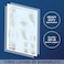 2 Pack: Spinal And Cranial Nerves + Disorders Of The Spine Poster Set - Set Of 2 Anatomical Charts - Laminated - 18" X 24