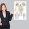 2 Pack: Spinal And Cranial Nerves + Disorders Of The Spine Poster Set - Set Of 2 Anatomical Charts - Laminated - 18" X 24
