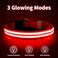 Led Dog Collar - 100% Waterproof Light Up Safety Pet Collar - Rechargeable Flashing Light Collar With Double Fiber, Basic Dog Collars S(11-15.7"/28-40Cm) Red