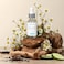 Glycolic Acid 30% Gel Peel - Enhanced With Retinol And Green Tea Extract (Professional Chemical Peel)