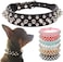 Mushrooms Spiked Rivet Dog Collar Studded Pu Leather Adjustable Puppy Collars For Small Medium Dogs S Black Hx0223-S-Black@#031