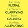Plant Therapy Blue Tansy Essential Oil, 100% Pure, Undiluted, Natural Aromatherapy.