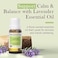 Pranarom - Lavender Essential Oil, Lavender Oil For Home, Lavender Essential Oils For Diffusers, Lavender Oil For Skin Care, Essential Oils Lavender Aromatherapy, Certified Organic, 15ml