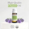 Pranarom - Lavender Essential Oil, Lavender Oil For Home, Lavender Essential Oils For Diffusers, Lavender Oil For Skin Care, Essential Oils Lavender Aromatherapy, Certified Organic, 15ml