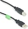 Riteav - USB 2.0 Cable A-B 1 Ft.