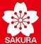 قلم تحديد رفيع من ساكورا بيجما ميكرون 05، عرض الخط 0.45 مم، عبوة من قطعتين (أسود)
