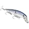 Kvd Jerkbait 3 Hook