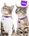 Taglory Reflective Cat Collar With Bell And Safety Release, 2-Pack Girl Boy Pet Kitten Collars Adjustable 19-32Cm Purple